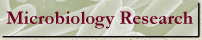 Link to Microbiology Research at UNLV