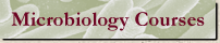 Link to Micro Courses Page